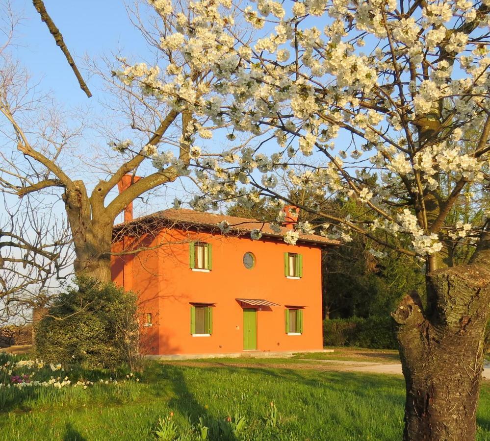 La Centuria Societa Agricola Casa Vacanze Terzo d' Aquileia Экстерьер фото